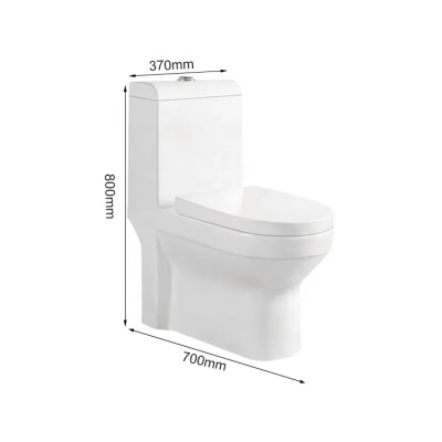 Hot Sale Factory Price Good Quality Big Size S-tarp Toilet Ceramic Material Bathroom