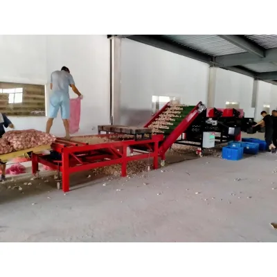 Competitive Price 2000*1700mm Industrial-Grade Garlic Sorting Machine for Agricultural and Food Processing Sectors