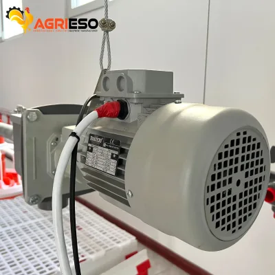 Imported Transtecno Gearbox Motor for Automatic Poultry Feeding Line Drive System