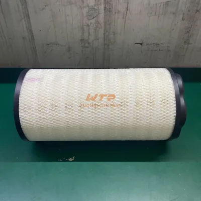 European Heavy Truck OEM 2341657 Air Filter with High Quality and Competitive Price Suitable for Scani-a