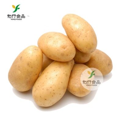 Fresh Potato Price Per Ton