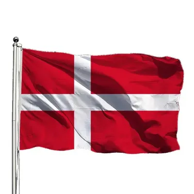 Soccer Sports All Countries Polyester Cheap High Quality Denmark National Flag with 2 Grommets