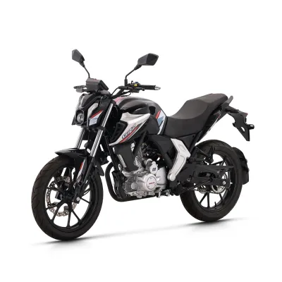 Factory Price 200cc Naked Motorcycle with Disc Brake and Electric Start Sport Motorcycle Fuel Efficiency Street Bike for Sale