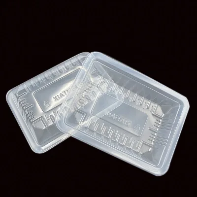 Wholesale Blister Formed Food Grade Disposable PP/RPP Trays for Cake Sushi Candy & More