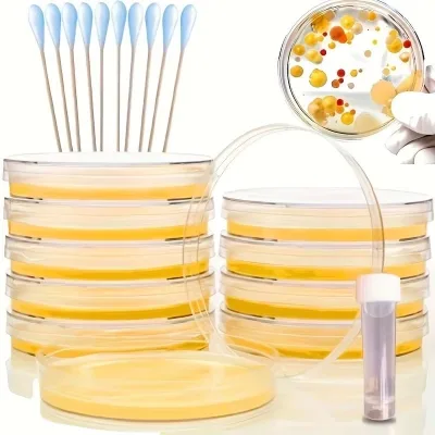 35mm 60mm 90mm 120mm Disposable Plastic Sterile Petri Dish With Lids for Chemical Laboratory Supplies
