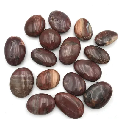 Wholesale Price Natural Crystal Hand Polishing Wood Fossil Palm Stone Healing Petrified Wood