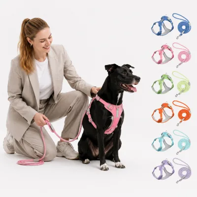 Custom Logo Durable Comfortable Lightweight Breathable Polyester Rubber Decoration Step-Up Dog Harness Leash Set Braided Rope