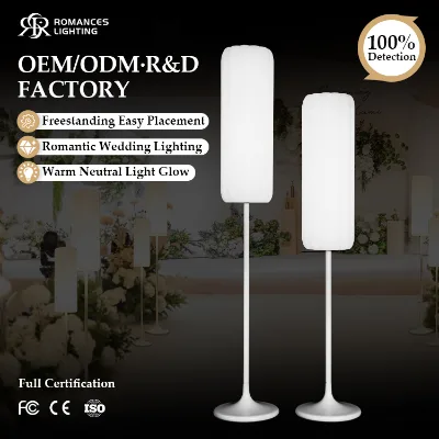 Hot Selling Modern Creative Acrylic Walkway Light Wedding Standing Road Lead Lamp Home Wedding Party Banquet Hall Decoration