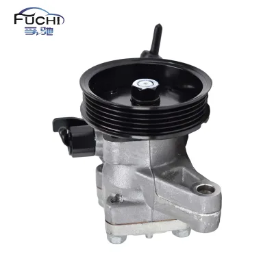 5710039000 5710039020 571003B300 571003F000 571003F001 Hydraulic Power Steering Pump for Kia Opirus Amanti 2003-2006