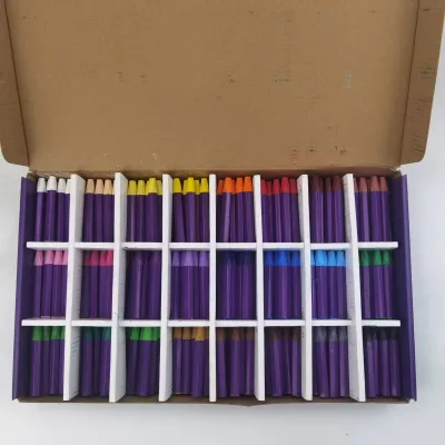New Arrival 336 Count Class Pack Non Toxic Painting Crayon Sticks Hexagonal Shape for Kindergarten Group Activity