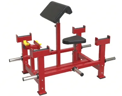 NO.34 Seated Biceps