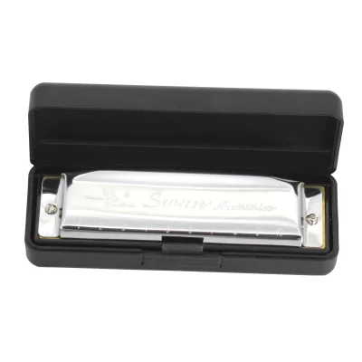 10 Hole Blues Harmonica Full Scale Blues BCDEFG Key Harmonica Teaching Instrument for Beginners