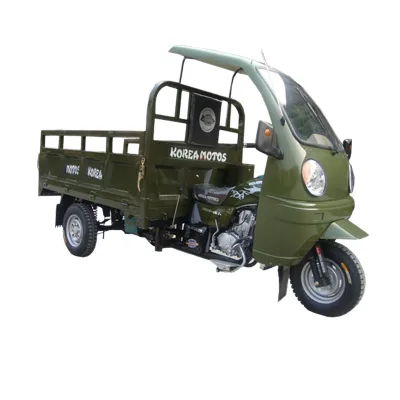 2026 New Brand Motorized Cheap Adult Tricycle Closed Body for Passenger Hot Selling