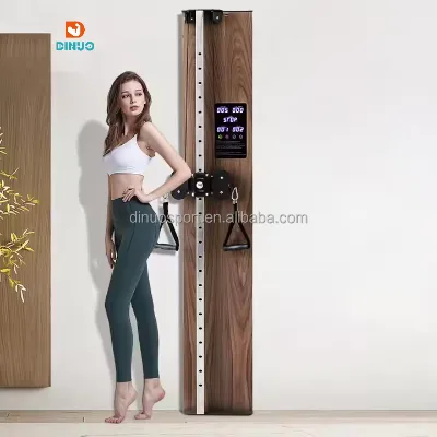 Dinuo Smart Fast Adjustable Wall-mount Fly Bird Station 100kg Motorized Resistance Trainer High Pull Training Fitness Equipment