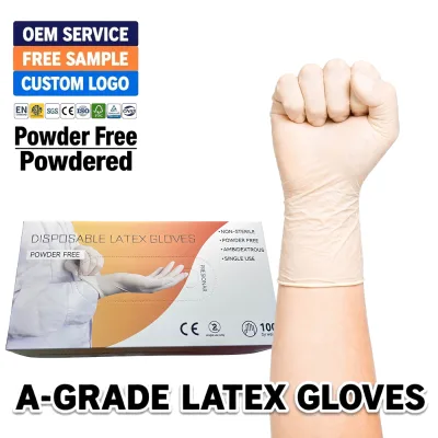 Latex Examination Powder Free Gloves Micro Textured Powdered Medical Beige Glove Pro Grade Hypoallergenic Extra Strong