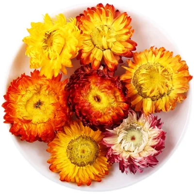 Natural Dried Flowers Colorful Chrysanthemum Dried Strawflower for Decoration