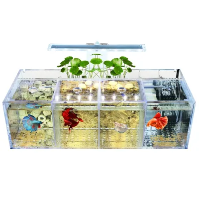 Factory Direct Sale of Goldfish tank Acrylic Isolation Small Fish tank with No Water Change Pump and Filter for Goldfish tank