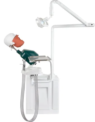Manikin Dental Phantom Head Dental Simulator for Training Practice Dental Phantom Head Dental Simulator