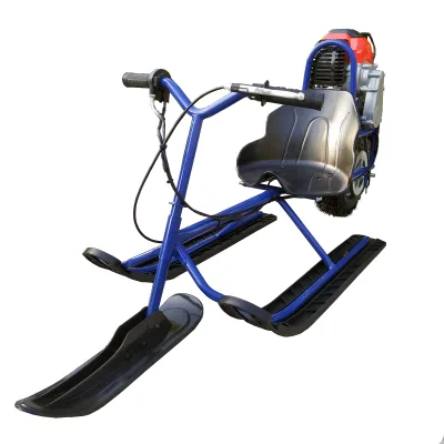 Hot Sale Kids Gasoline Snow Motorcycle Scooter Ski Sled Mini Quad