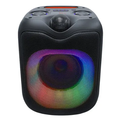 6.5 inch portable BT speaker with competative price