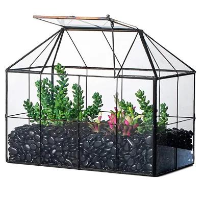Wholesale Large Glass Plant Terrarium Kit Home Garden Greenhouse Terrarium with Lip for Succulent for House Succulent Display