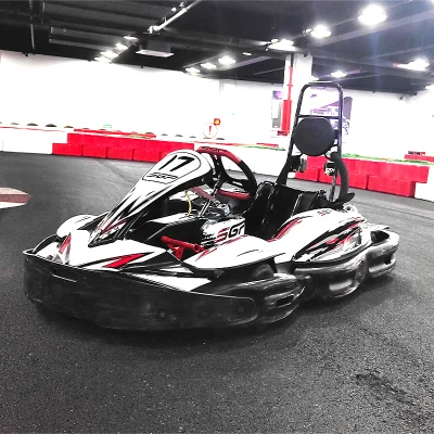 2023 Newest Sports Version Good Price High Quality Electric Adults Go Karting TS6-EV