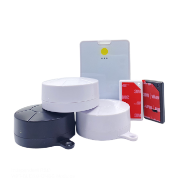 BLE IBeacon Beacon With Keyring for Anti Lost Alarm Keyfob  Keyfob Programmable Bluetooth Tag Beacon
