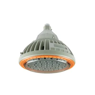 Factory Price Die-cast Aluminum Ex-proof LED Wall Pack Light for Oil Refinery Entrance Hazardous Area with 5-Year Warranty