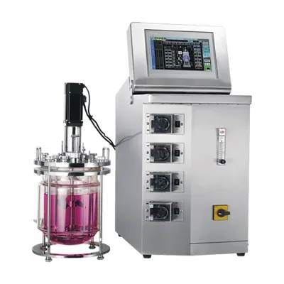 Lab Scale Bioreactor Bench Top Bioreactor Small Glass Bioreactor Fermenter