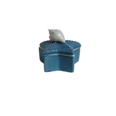 Hand Painted Elegant White Starfish Trinket Box | Sea Shell Coastal Textured Ceramic