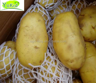 Potato Buyers