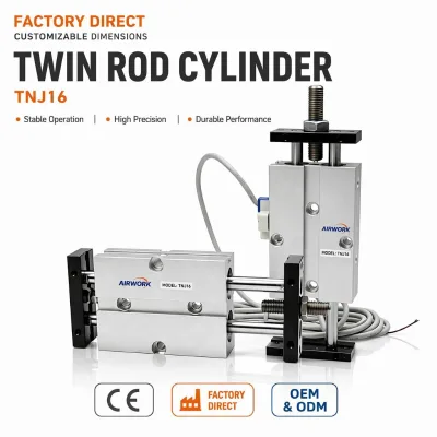 TNJ16 Twin Rod Pneumatic Air Cylinder 16mm Bore Dual Shaft Guided Double Acting Externally Adjustable Stroke 5-100mm with Magnet