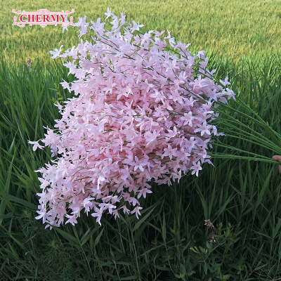 Elegance Orchids Flowers Picturesque Artificial Dancing Lady Orchid Flowers Silk Artificial Oncidium