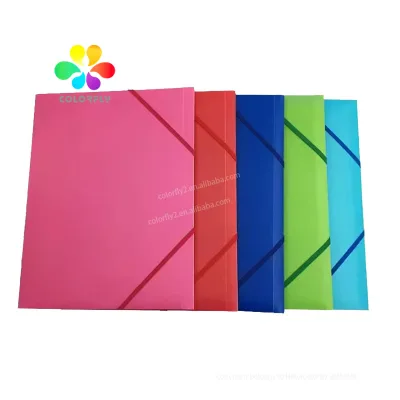 Factory Bulk Modern Design High Quality Plastic Box File Expanding File Folder
