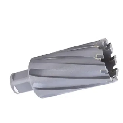 Tools Solid Carbide TCT Annular Cutter CNC Circular Saw Grinding Deep  Hard Metal