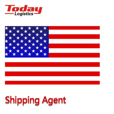 Top 10 China Freight Forwarder Cheapest DDP Shipping to USA Canada Reliable LCL Sea Freight Service to UK Spain