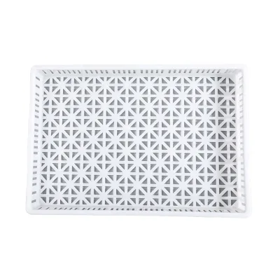 Wholesale Widely Used Tray Drying White  Food Grade Drying Plastic Tray Mesh Frezing Tray