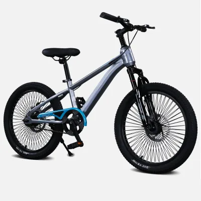 Factory Customized 20 Inch V Brake Steel Frame Bmx Bike Bicicleta in Stock Bmx Freestyle Climbing Bike for Young