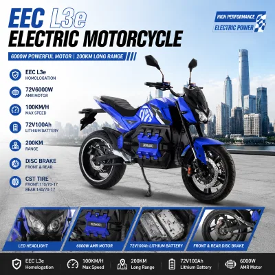 Factory Supply EEC L3e Electric Motorcycle 6000W Motor 100km/h Speed 72V100Ah Battery Long Range OEM ODM for Global Market