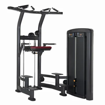 DISSOLVED Pull up Station Assisted Chin Dip Training Weight Assisted Dip and Chin up Gym Fitness Equipment