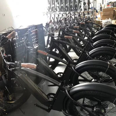Hot Sale 26inch Buy Electric Bike Chopper Fat Bike Vintage Electric Bike 48v 750w Electric Bicycle