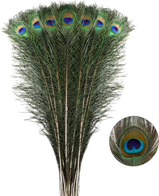 Natural Peacock 80-90cm Feather for Sale