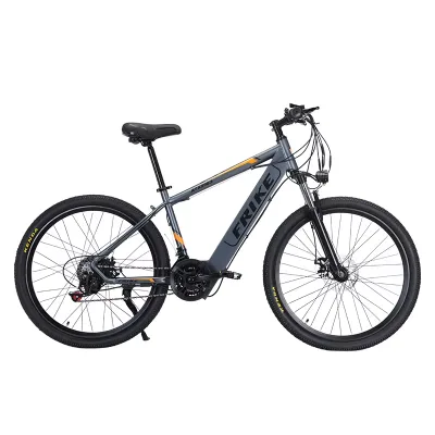 Wholesale 250W 36V Lithium Battery Off-road Variable Speed Professional Adult High Durable Racing Electric Mountain Bike Factory