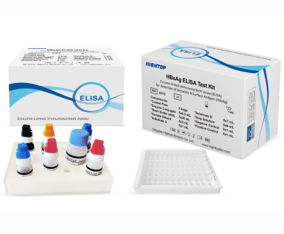 HIGHTOP ELISA HBsAg Hepatits B Surface Antigen Test