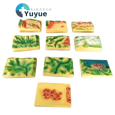 10pcs Landform Topography Model Set, 3D Terrain Teaching Kit with Photo Cards for Geography Education