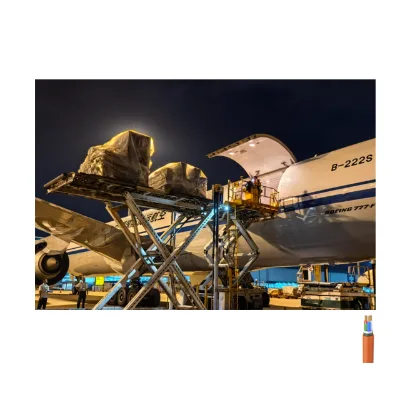 Air Freight Service for Sensitive Goods From China to the Slovenia Including Tax Inclusive and to Door Delivery Other Lines