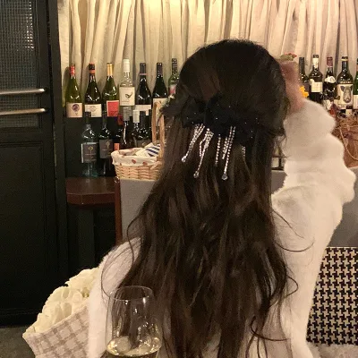 Long Rhinestone Tassel Bow Hair Clip Metal Spring Clip Velvet Double Bow Hairpins Crystal Long Chain Hair Accessories