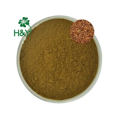 Bulk Price Nature Flavonoids Tartary Buckwheat Extract Powder