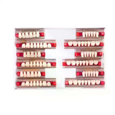 Easyinsmile Dental Acrylic Resin Teeth Synthetic Polymer Resin Tooth for Dental Teaching