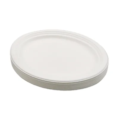 Bodegradable Tableware Food Tray